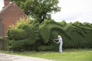Illustration for article titled Retired man sculpts hedge into a 100-foot-long dragon